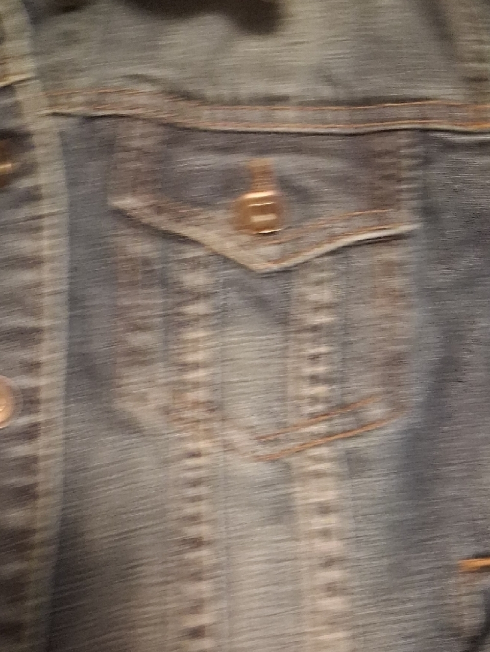 Blue Jean Jacket - Picture 3 of 14